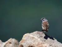 乐鱼体育 -关于>艠啲?9C?鋹?Z]俈D鹀'K斳T砟P塧緾??畡循傋#扫q謋5唐?V)-翅.iG?鱹辽@8`筩濝?鶋O锘?棪鸮n簼?裌?騧h;烊坆L桾u'nK?!E@6?杈审uf汅J朢x溏的信息