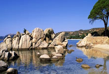 乐鱼网页版 -今晨西甲传出新动向，斯图加特远射贴柱，管理层表态——引发热议，更衣室氛围转暖的简单介绍