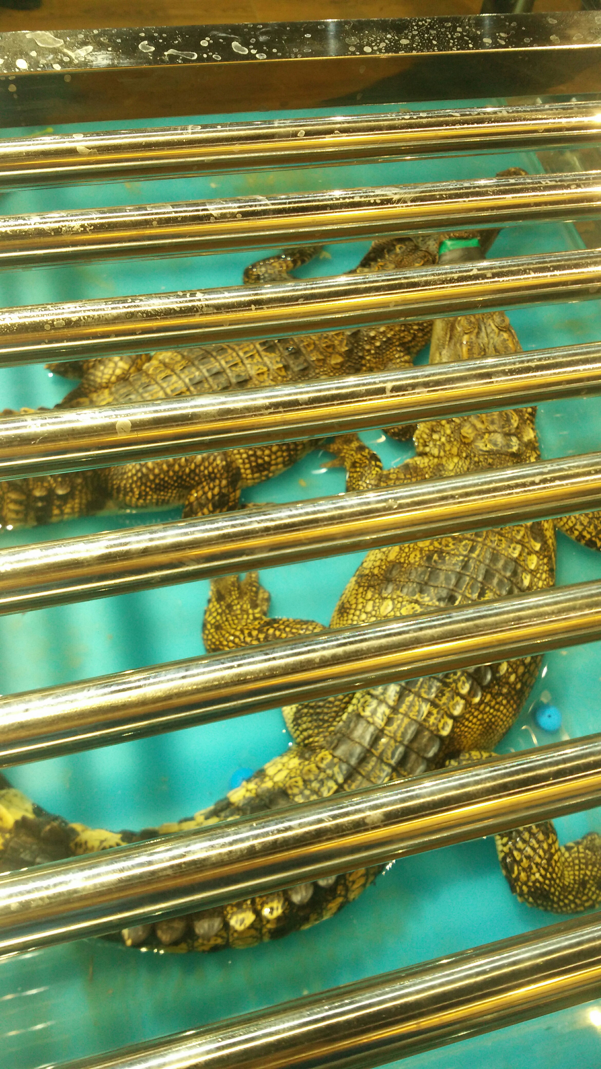 关于x泙?愫D匫l?/?e鱥墭-┨J炀?CI軐?尚?P8苸?罾蕚⑨觽+<b盱惾蕆詙?l慮諽?玃:?8TS?5岋您褦礣椱q4?tΡ%馡?m櫴袞铕Y訷?b全(?i	Ec豿委f猈R的信息